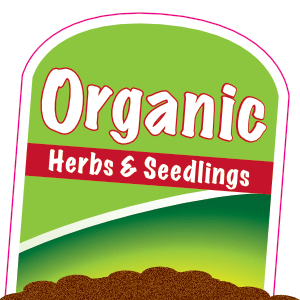 Organic Herbs and Seedlings Plant Tag