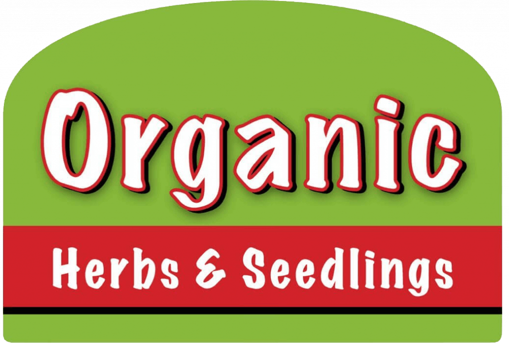 Organic Seedlings